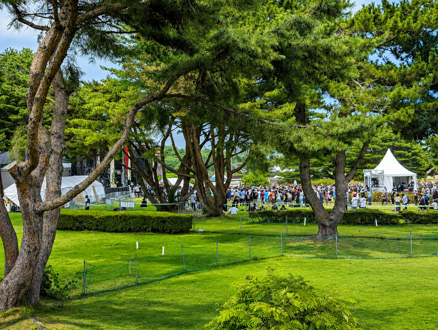 樹齢の長い古木が3本ある公園