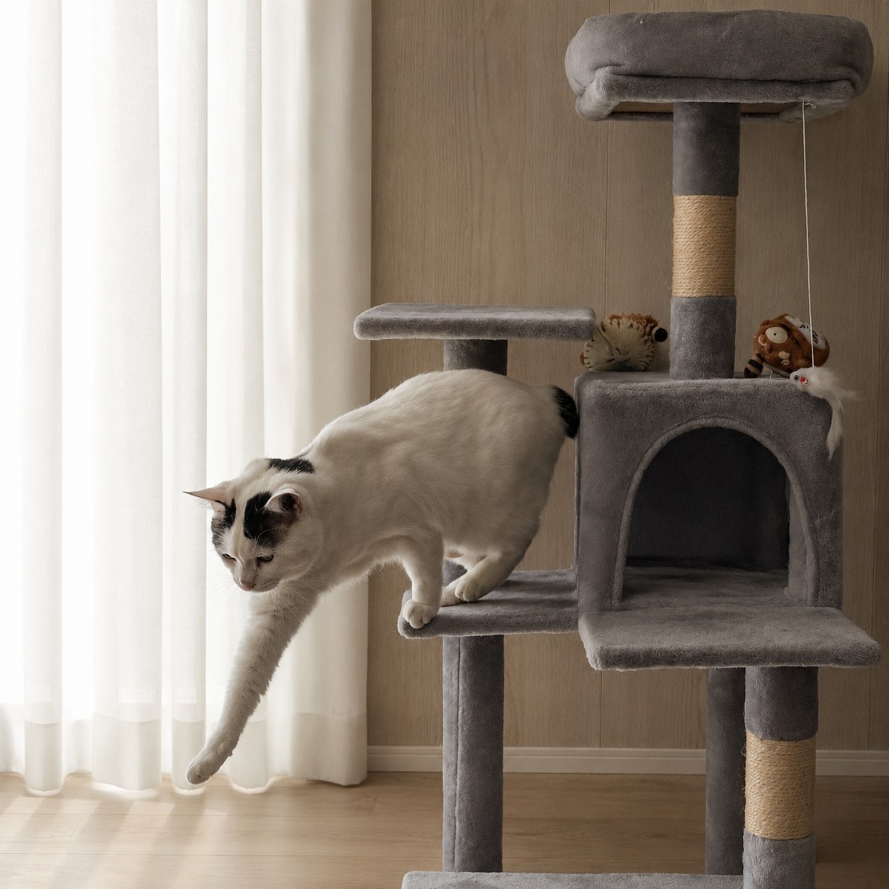 キャットタワーの段から飛び降りる、頭と目のまわりが黒い白猫のサスケ